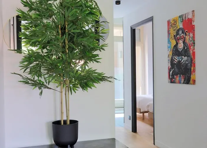 Apartamento Le Miroir De Mengin - 4 Personnes - 2 - Place Charles Iii